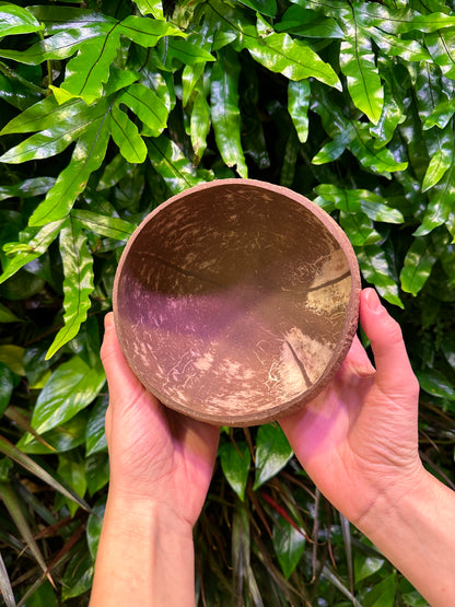 inside of coconut bowl extra large for serving and planting