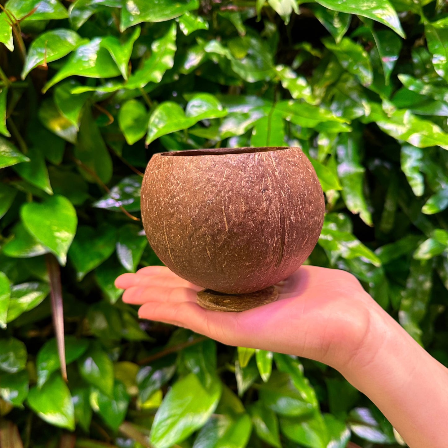 coconut cup glass