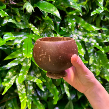 coconut cup polished