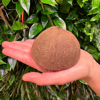 Bulk Coconut Bowl, Small, Round Bottom