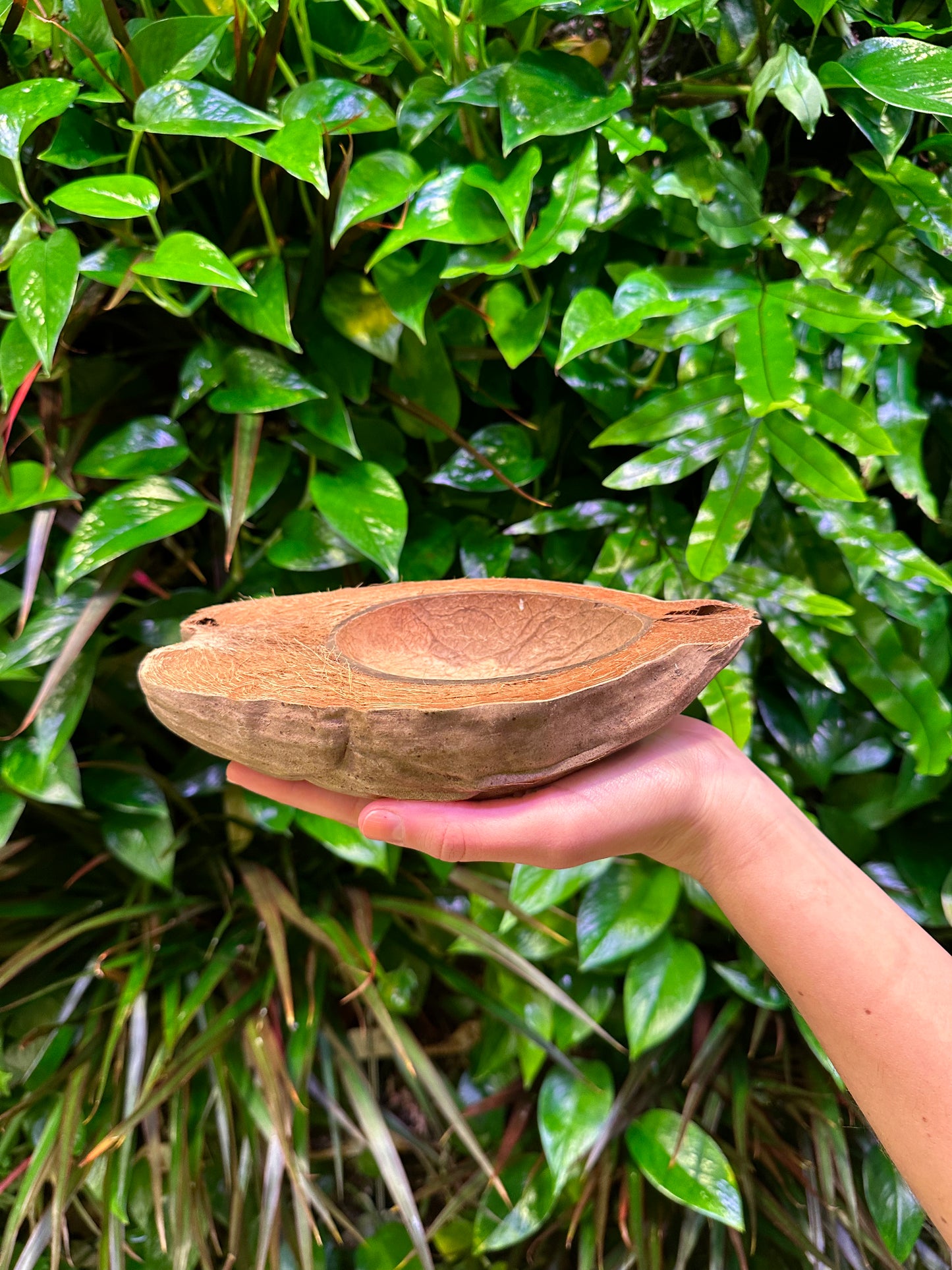 coco husk bowl half with hand