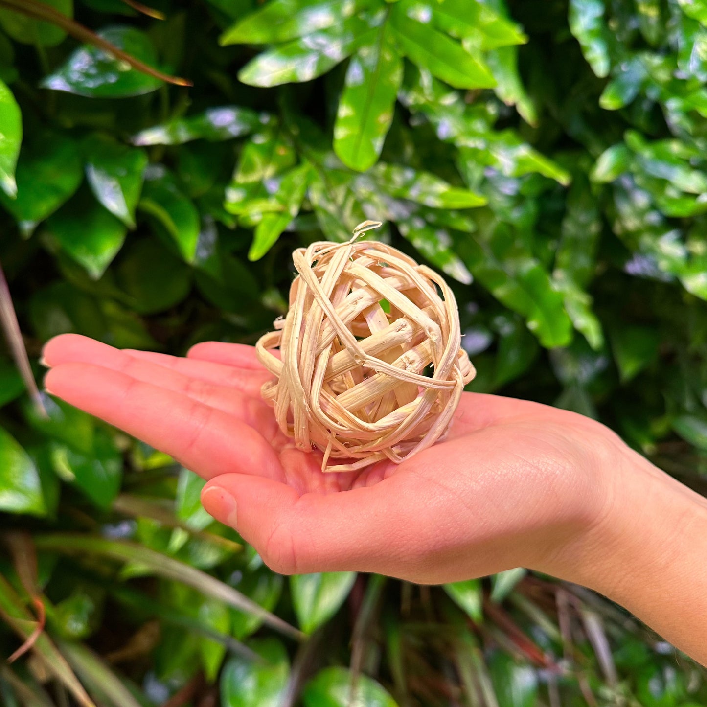 Small Bamboo Ball
