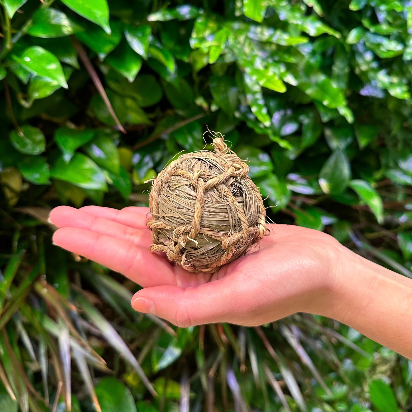 Seagrass Fiber and Rope Ball