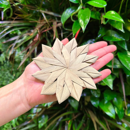 Palm Leaf Star Large