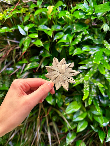 Palm Leaf Star Small