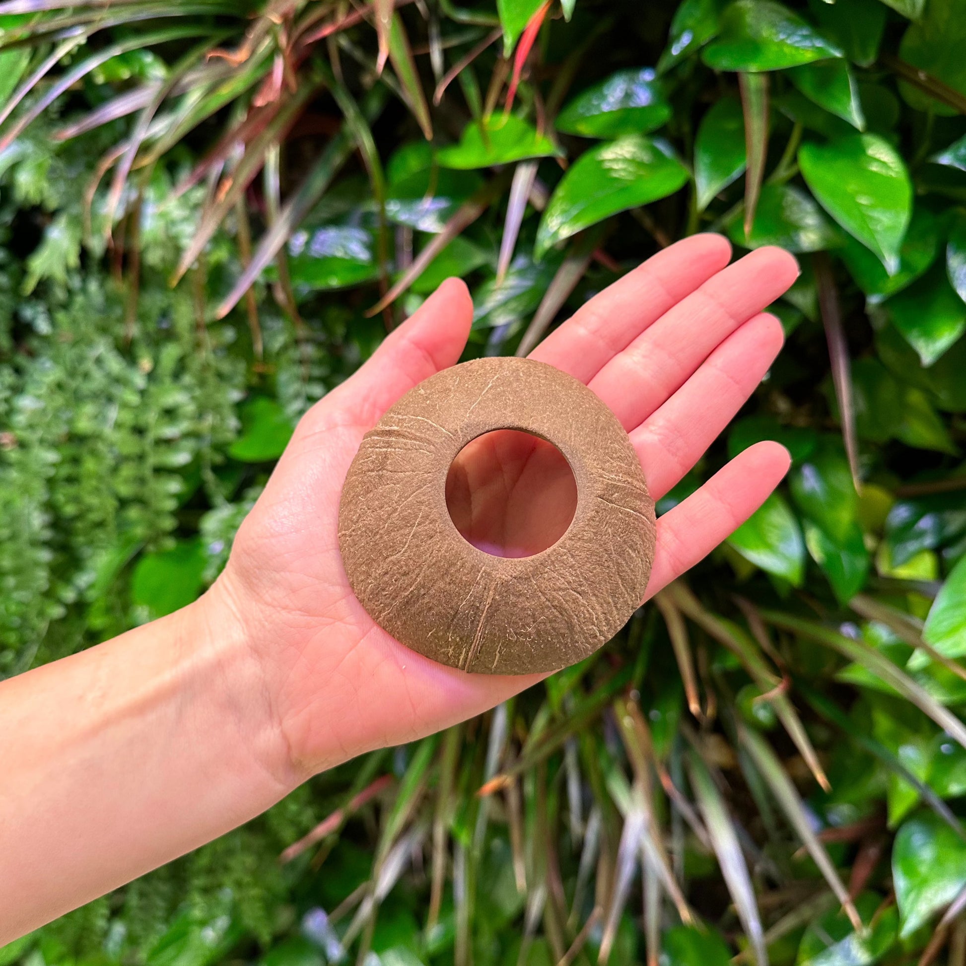 coconut shell disk in hand