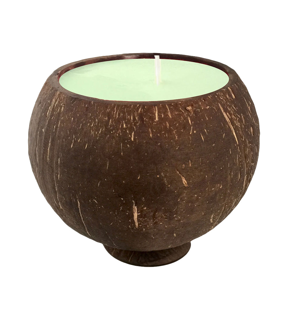 Key Lime Scent Coconut Candle Wholesale